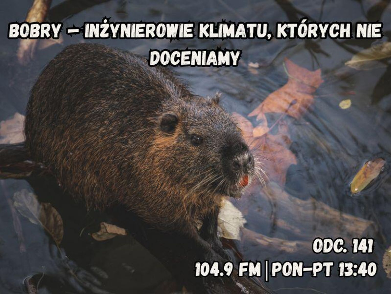 Planeta w 5 minut - odc. 141.