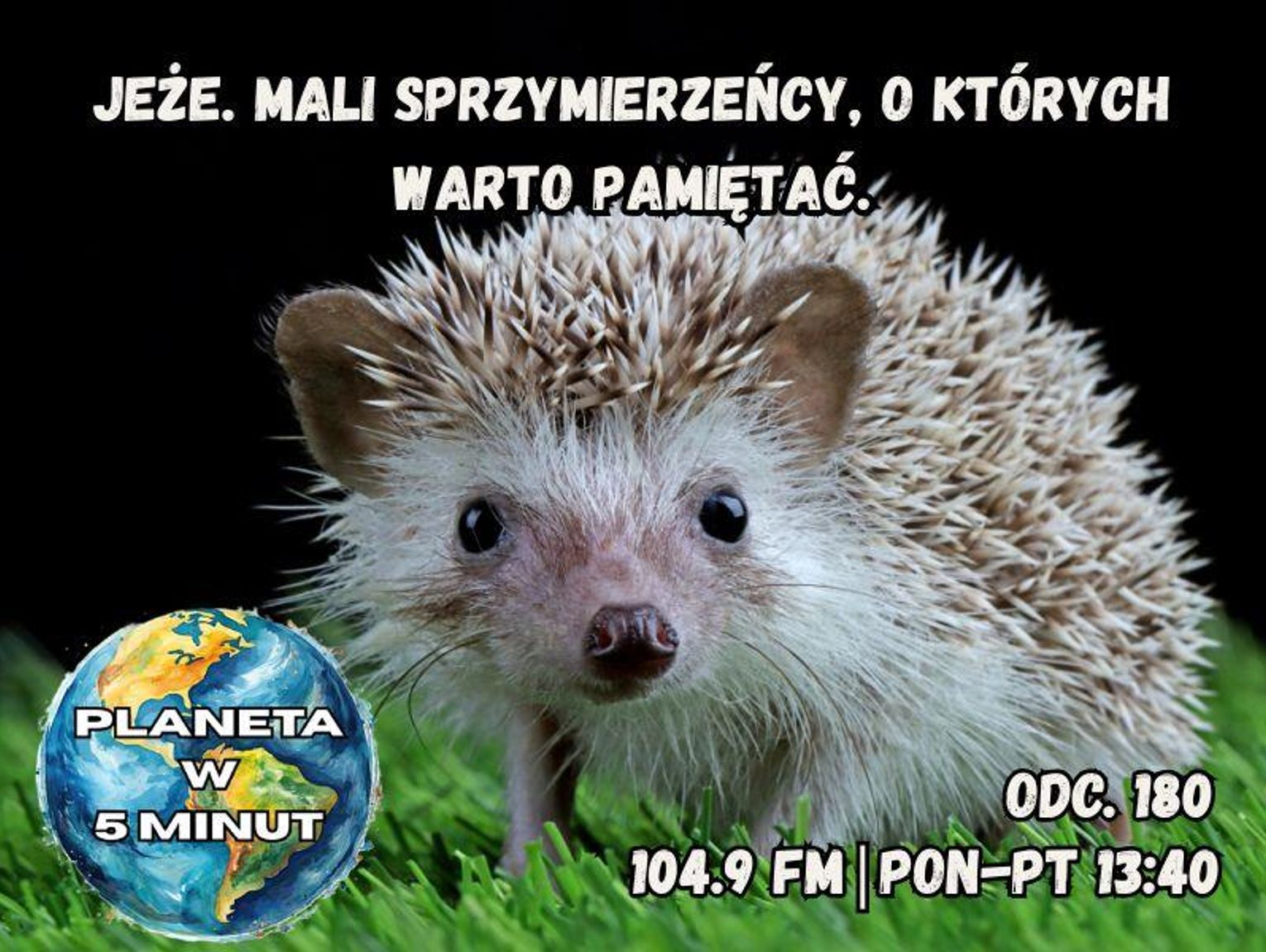 Planeta w 5 minut - odc. 180.