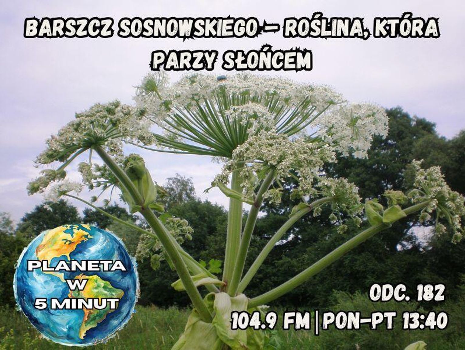 Planeta w 5 minut - odc. 182.