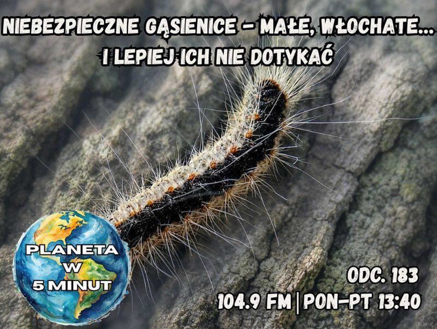 Planeta w 5 minut - odc. 183.