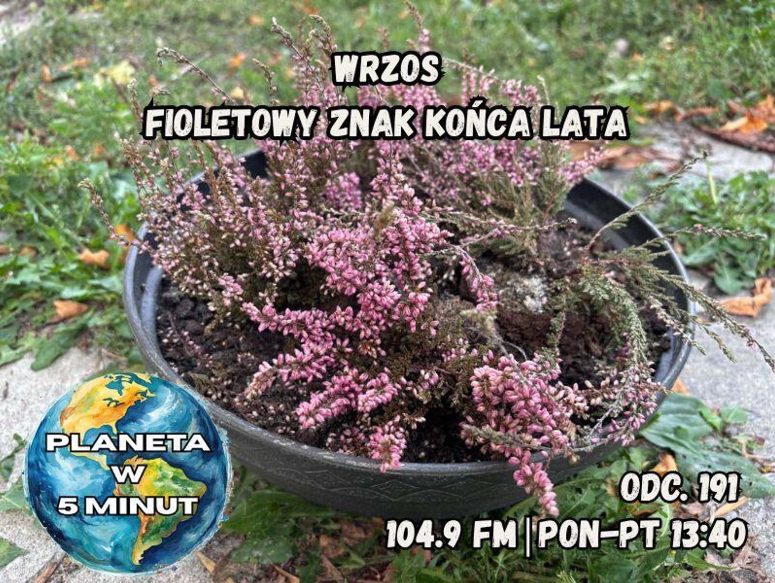 Planeta w 5 minut - odc. 191.