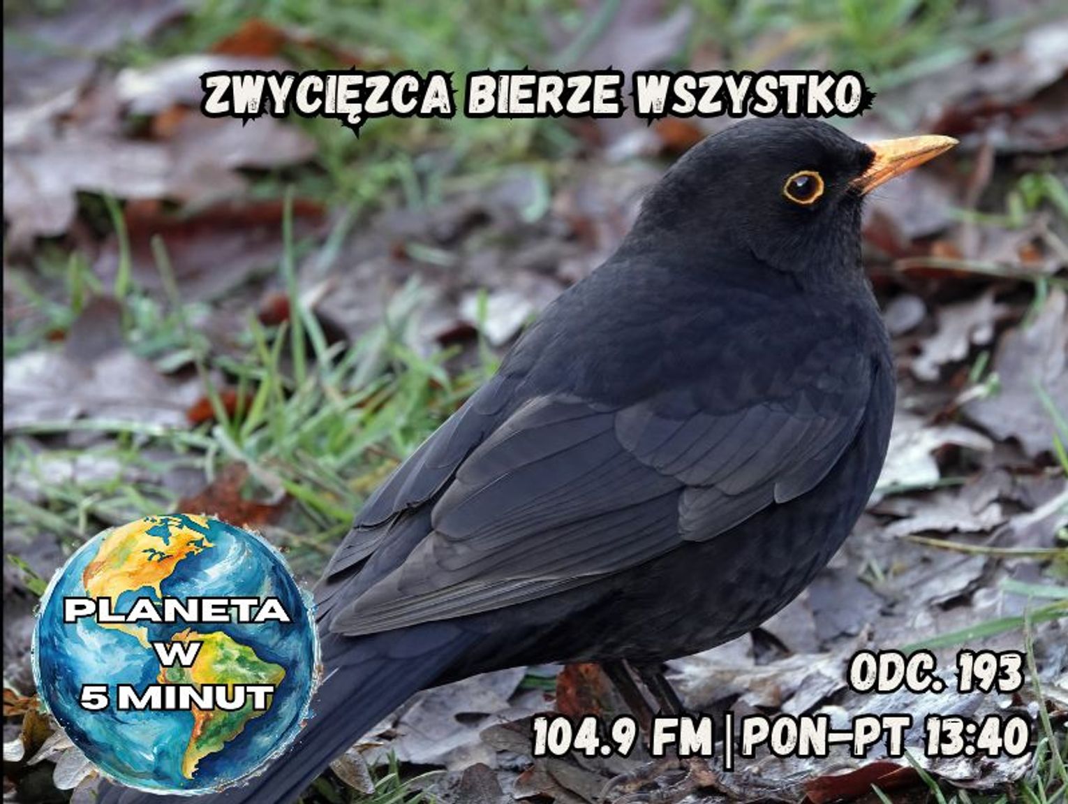 Planeta w 5 minut - odc. 195.