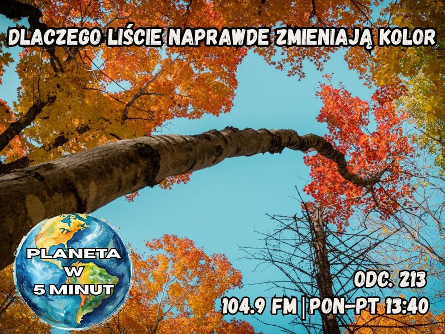 Planeta w 5 minut - odc. 213.