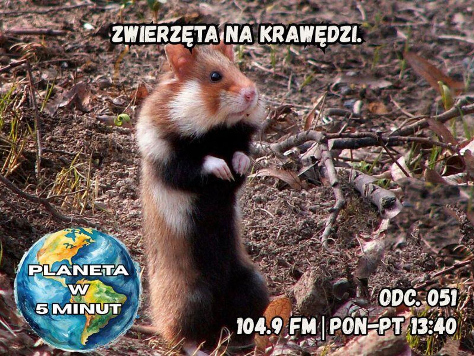 Planeta w 5 minut - odc. 51.