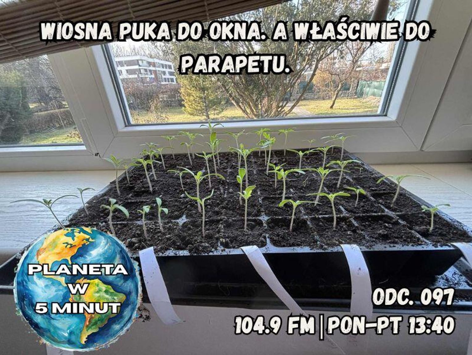 Planeta w 5 minut - odc. 97.