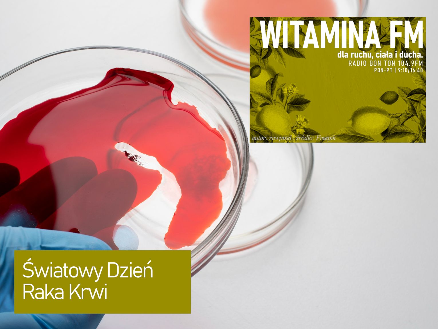 Światowy Dzień Raka Krwi - Witamina FM