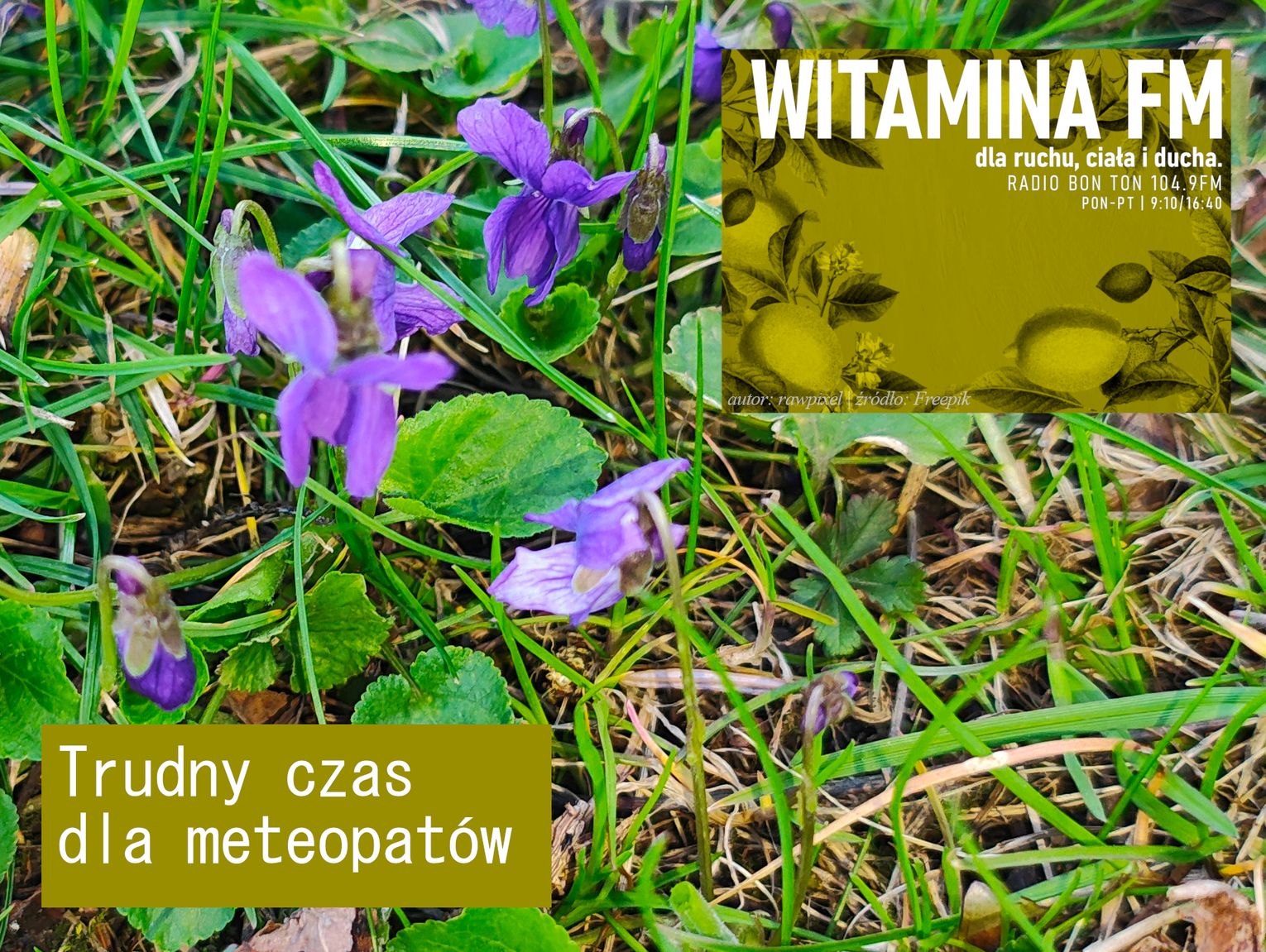 Trudny czas dla meteopatów - Witamina FM