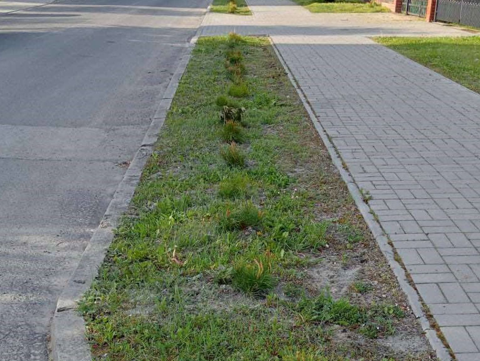 Wiadomości lokalne 15.05.2025 g. 9.30