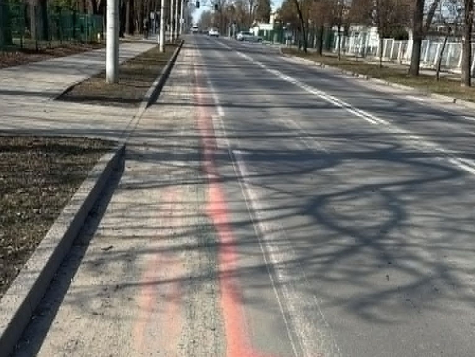Wiadomości lokalne. Chełm: oznakowanie rowerowe do poprawy do końca maja