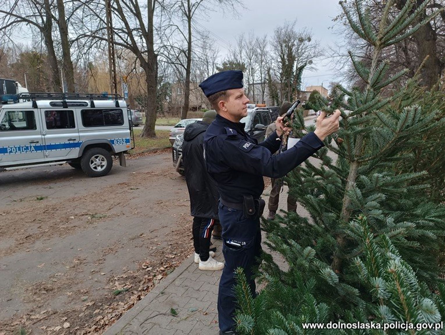 Wiadomości lokalne. Choinki tylko z legalnego źródła. Caritas AL organizuje Wigilię Miłosierdzia również w Chełmie i Krasnymstawie