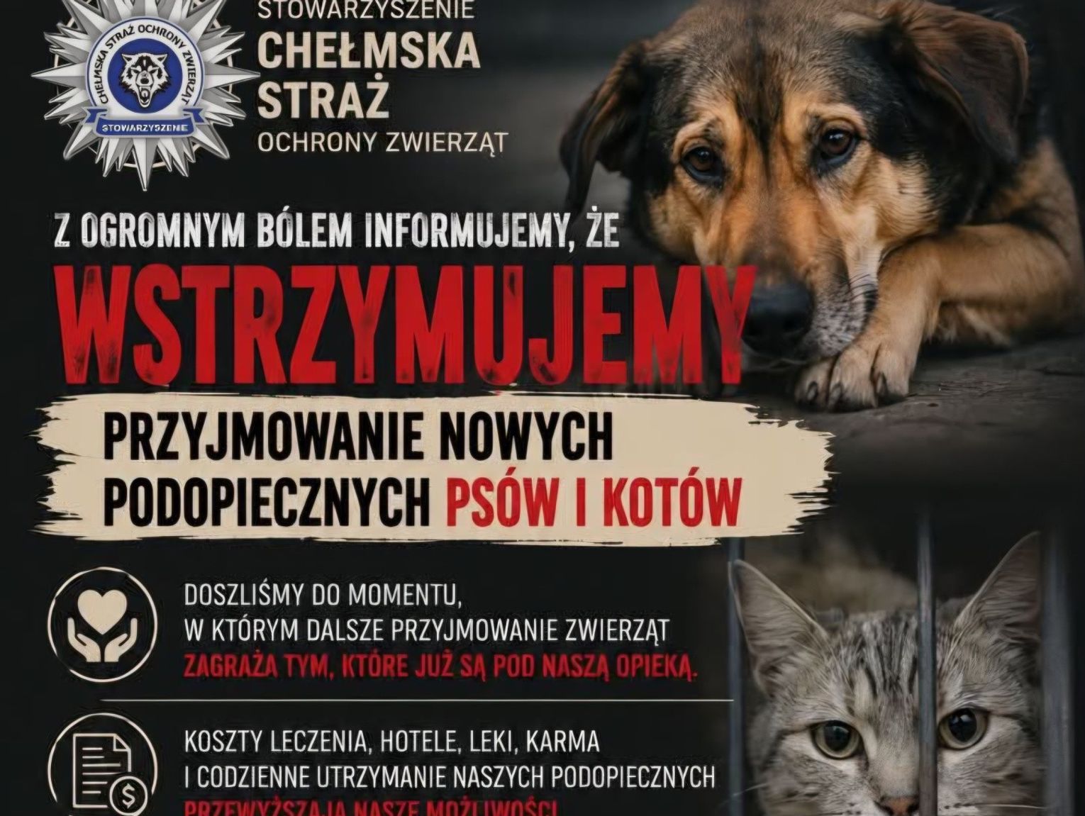Wiadomości lokalne. Coraz trudniejsza sytuacja Chełmskiej Straży Ochrony Zwierząt. Brakuje pieniędzy i miejsc