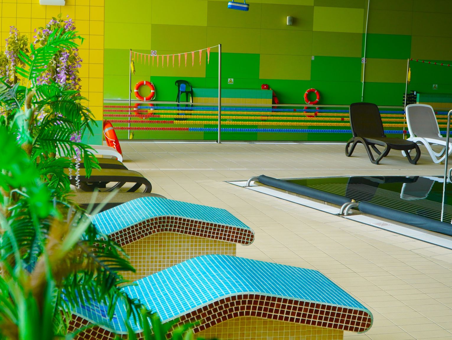 Wiadomości lokalne. Czas na remonty w Chełmskim Parku Wodnym. Dni Jakuba Wędrowycza nagrodzone. Gekon w rukoli!