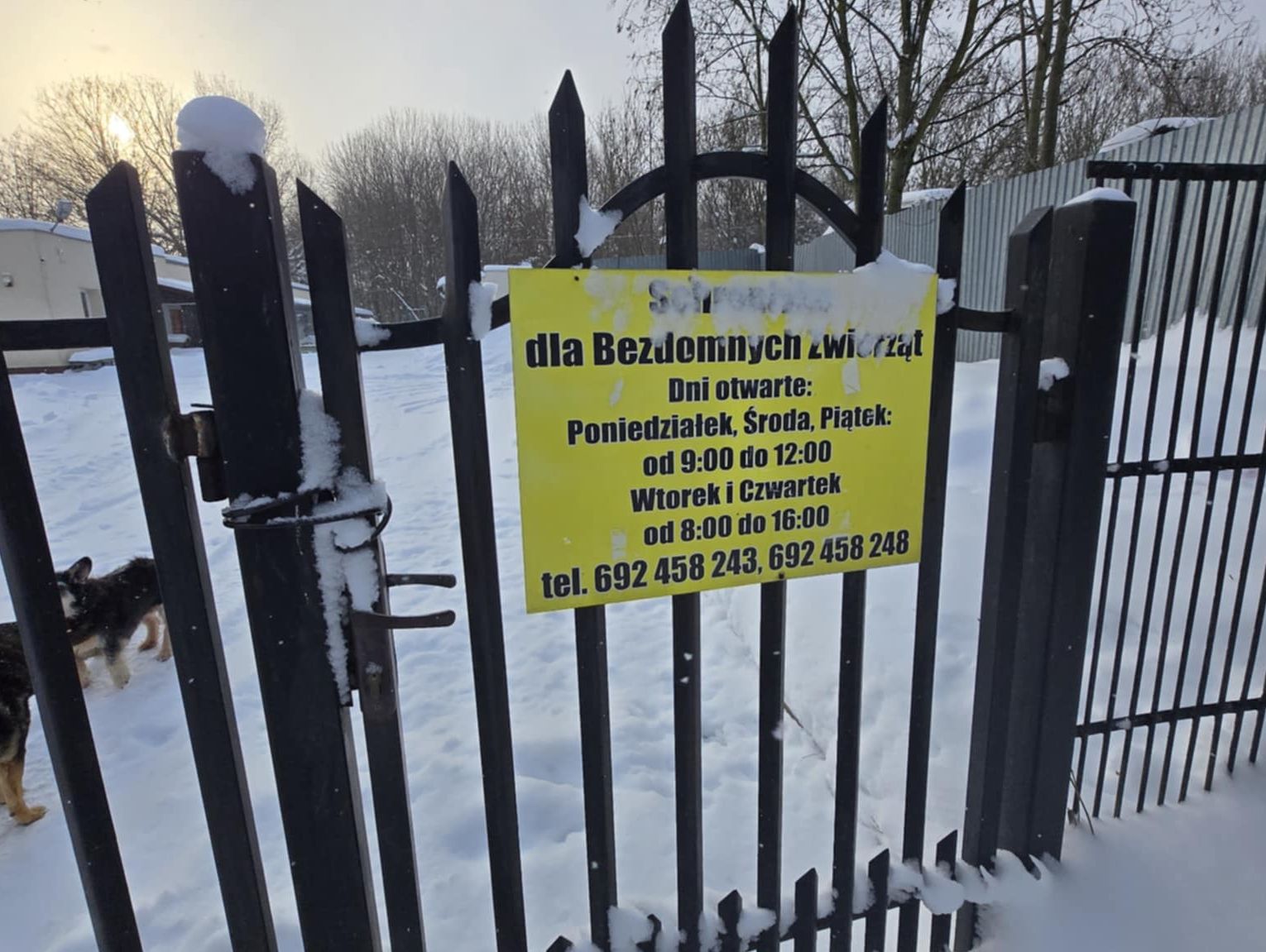 Wiadomości lokalne. Jak funkcjonuje schronisko w Chełmie? Odpowiedź magistratu