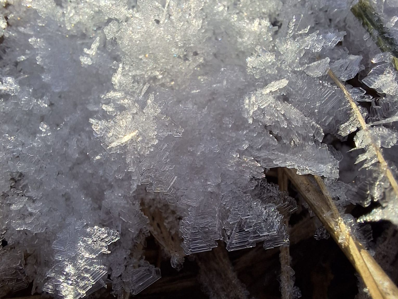 Wiadomości lokalne. Mróz nie ustanie. Ostrzeżenia synoptyków w Chełmie i powiecie chełmskim aktualne