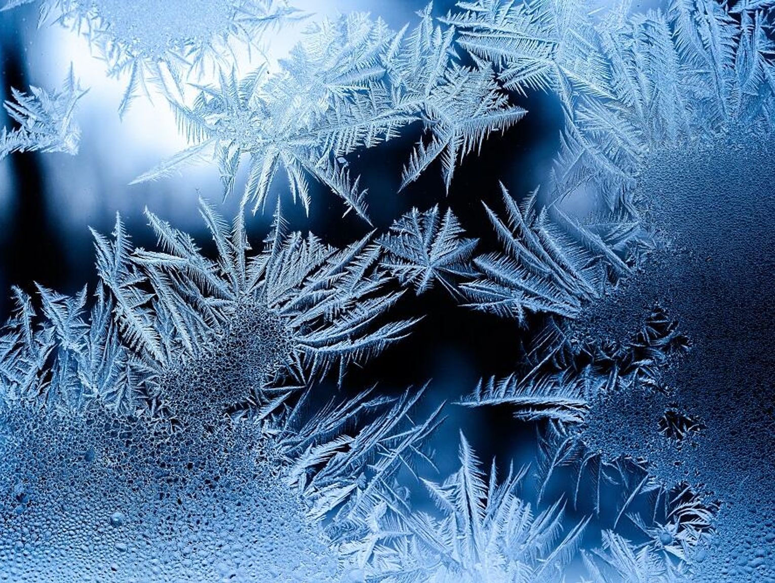 Wiadomości lokalne. Mroźne noce w Lubelskiem - synoptycy wydali kolejne ostrzeżenie. Jutro w Chełmie świętowanie urodzin miasta