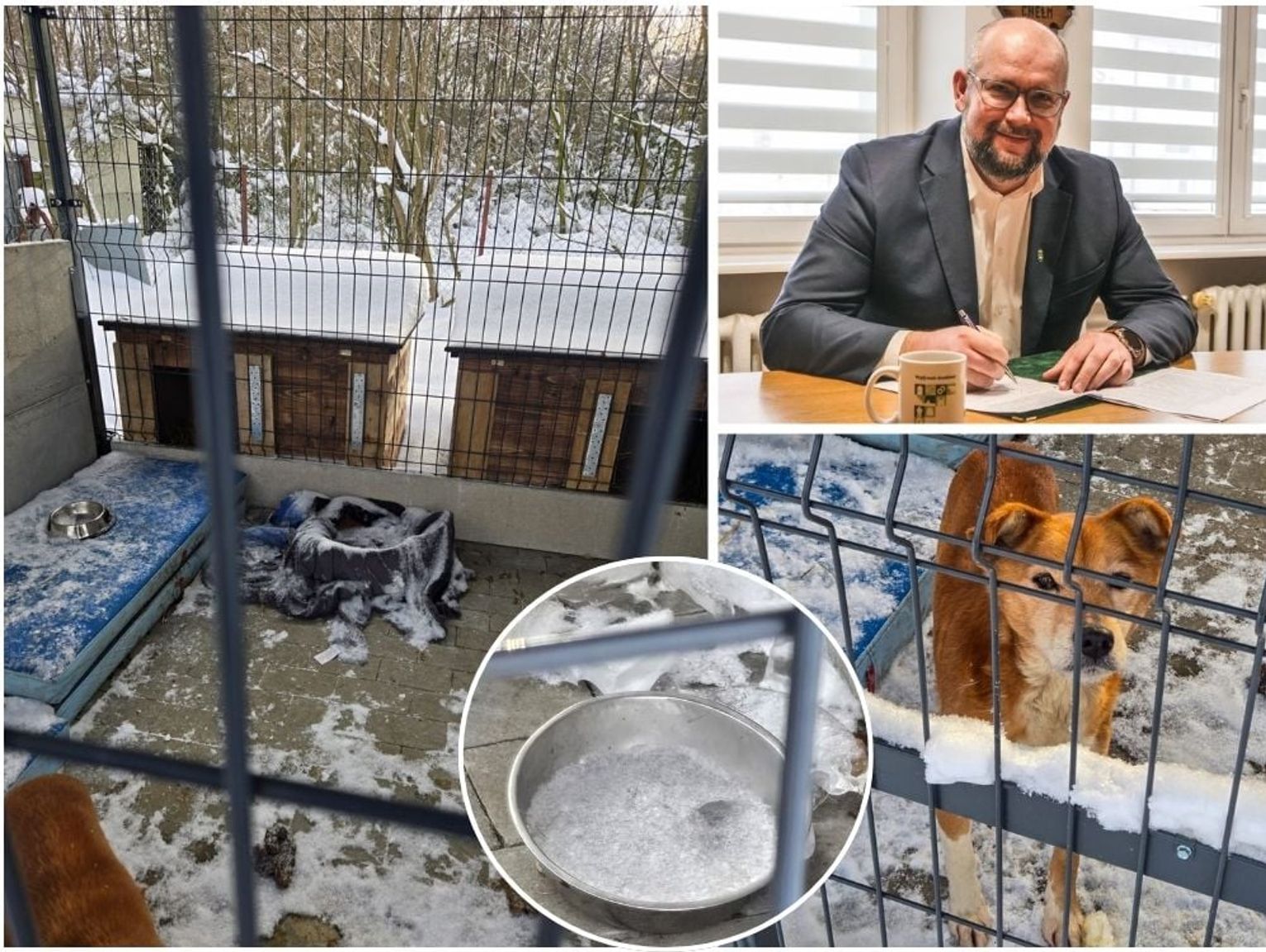 Wiadomości lokalne. Nadzór nad chełmskim schroniskiem dla zwierząt – formalny, bez kontroli wydatków