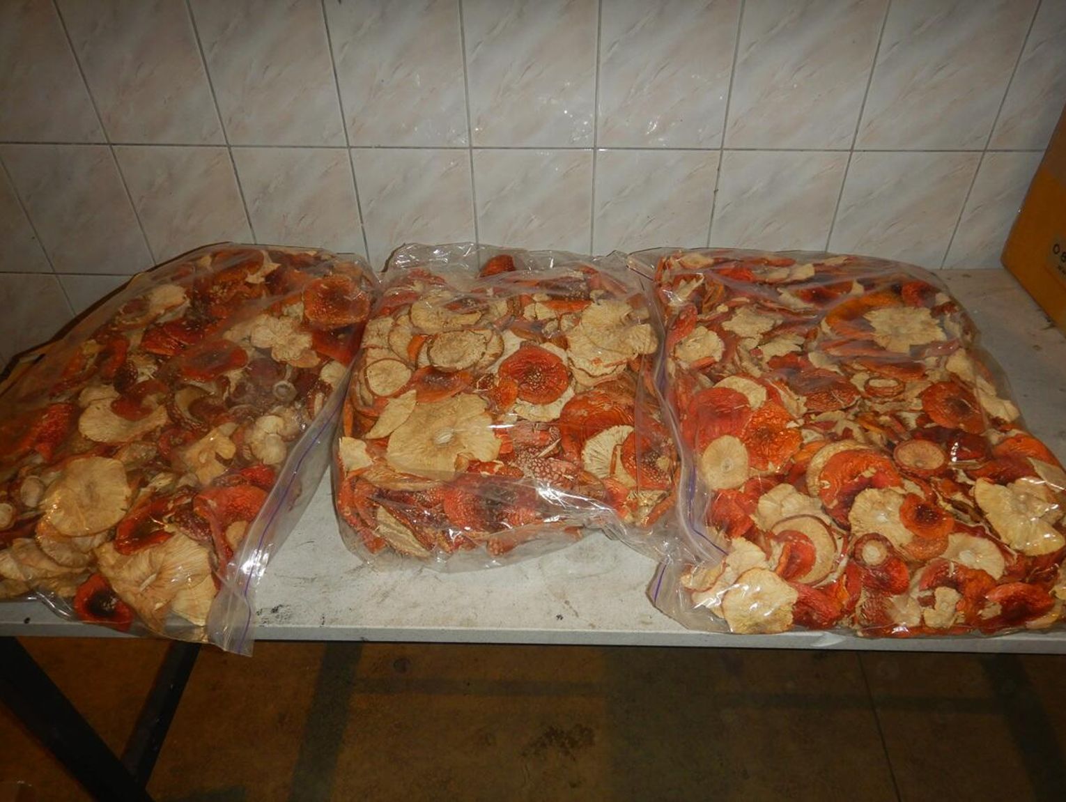 Wiadomości lokalne. Od włosów po psychotropy. Służby celne ujawniają nietypowy przemyt na granicy