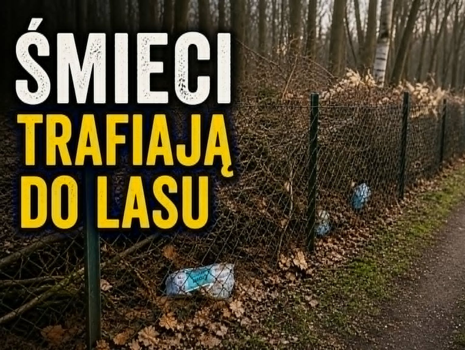 Wiadomości lokalne. Śmieci w lesie przy ogródkach „RAJ”. Problem narasta