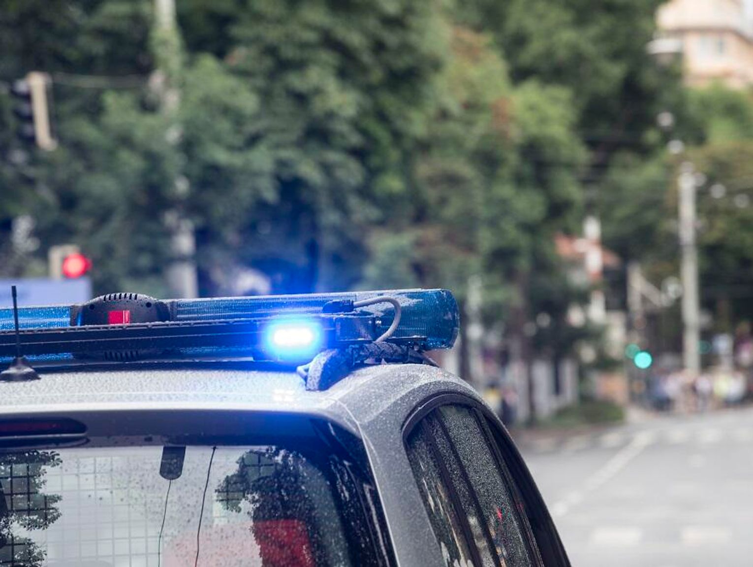 Wiadomości lokalne. Straż Miejska w Chełmie zyska nowy samochód służbowy z projektu z budżetu obywatelskiego