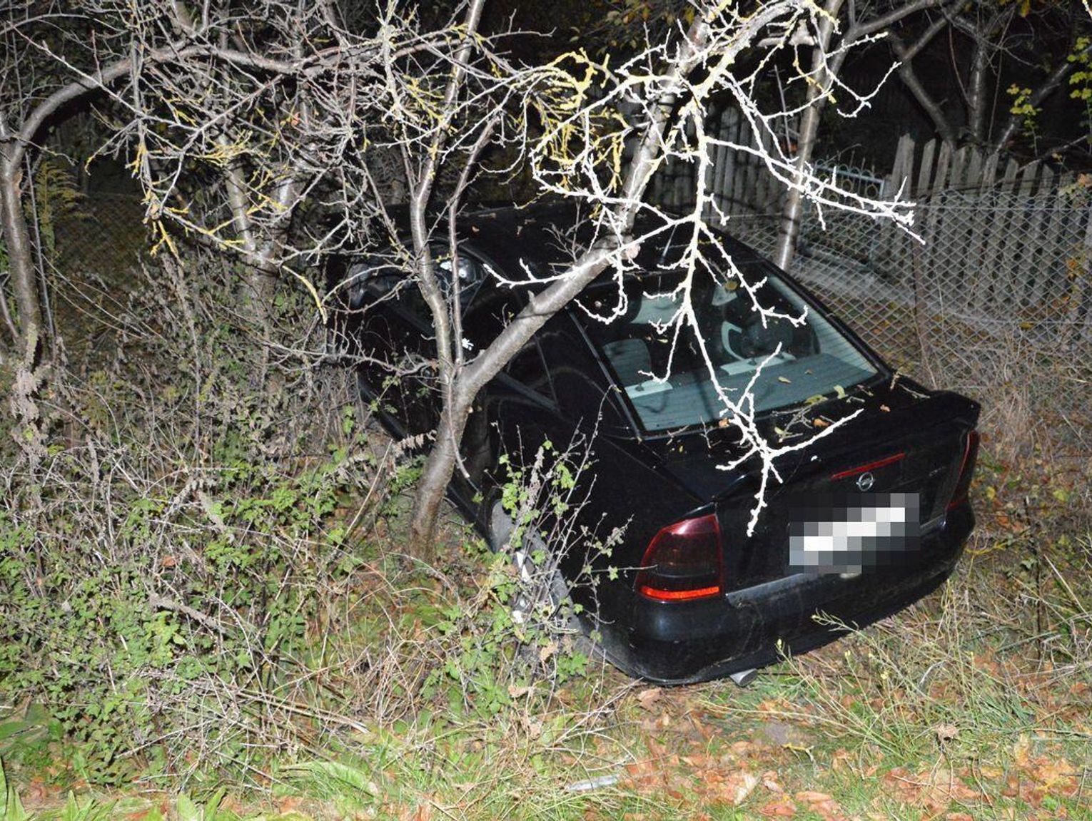 Wiadomości lokalne. Za droga termomodernizacja szkół. Pod "gazem" w ogrodzenie. Tłumacz języka migowego on-line w UM Chełm.