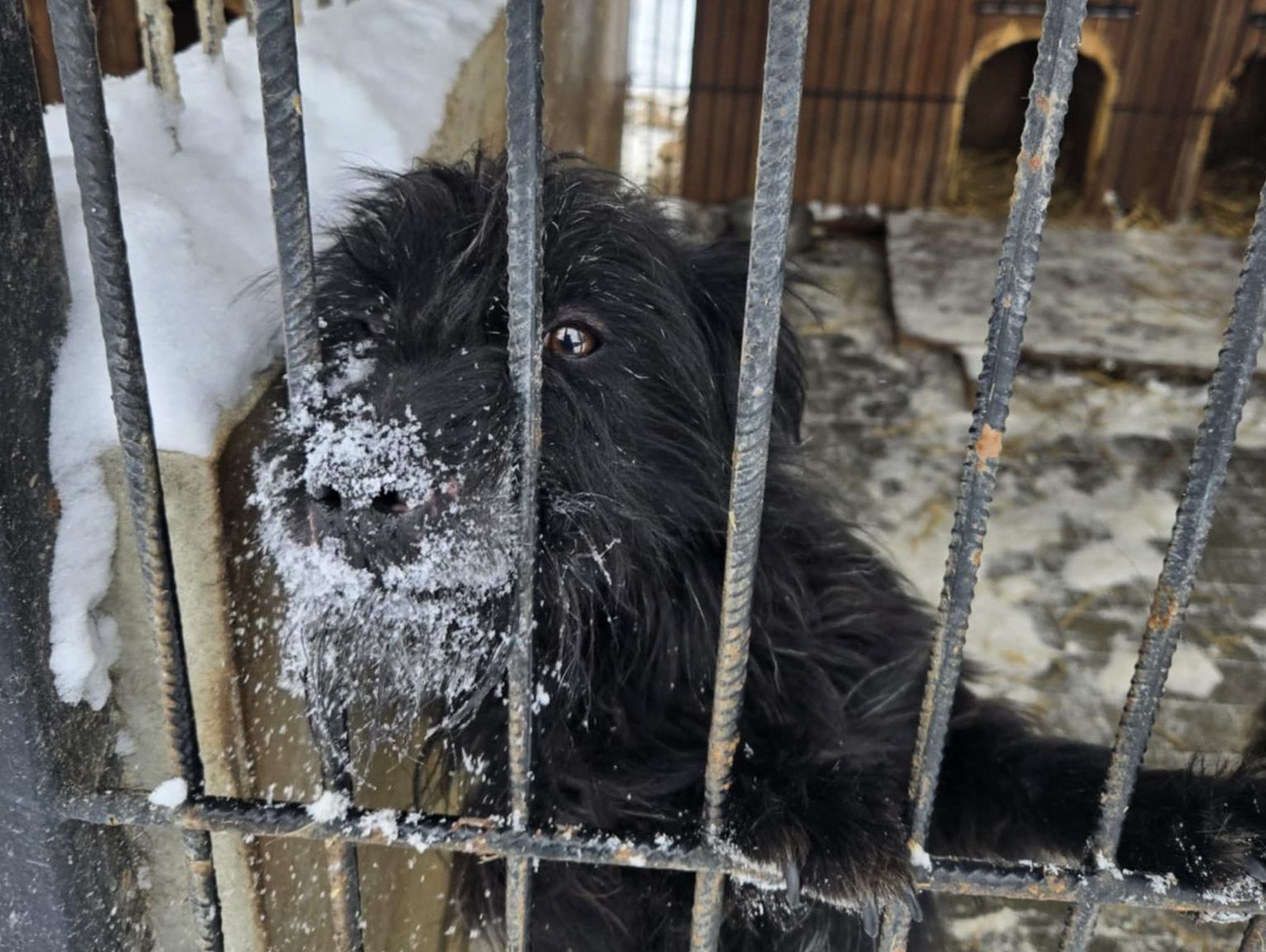 Wiadomości lokalne. Zimny wiatr nad wybiegami, gorąca atmosfera w Radzie Miasta Chełm. Niezgłoszona gotówka na granicy - rekordzista chciał przewieźć 1,4 mln zł