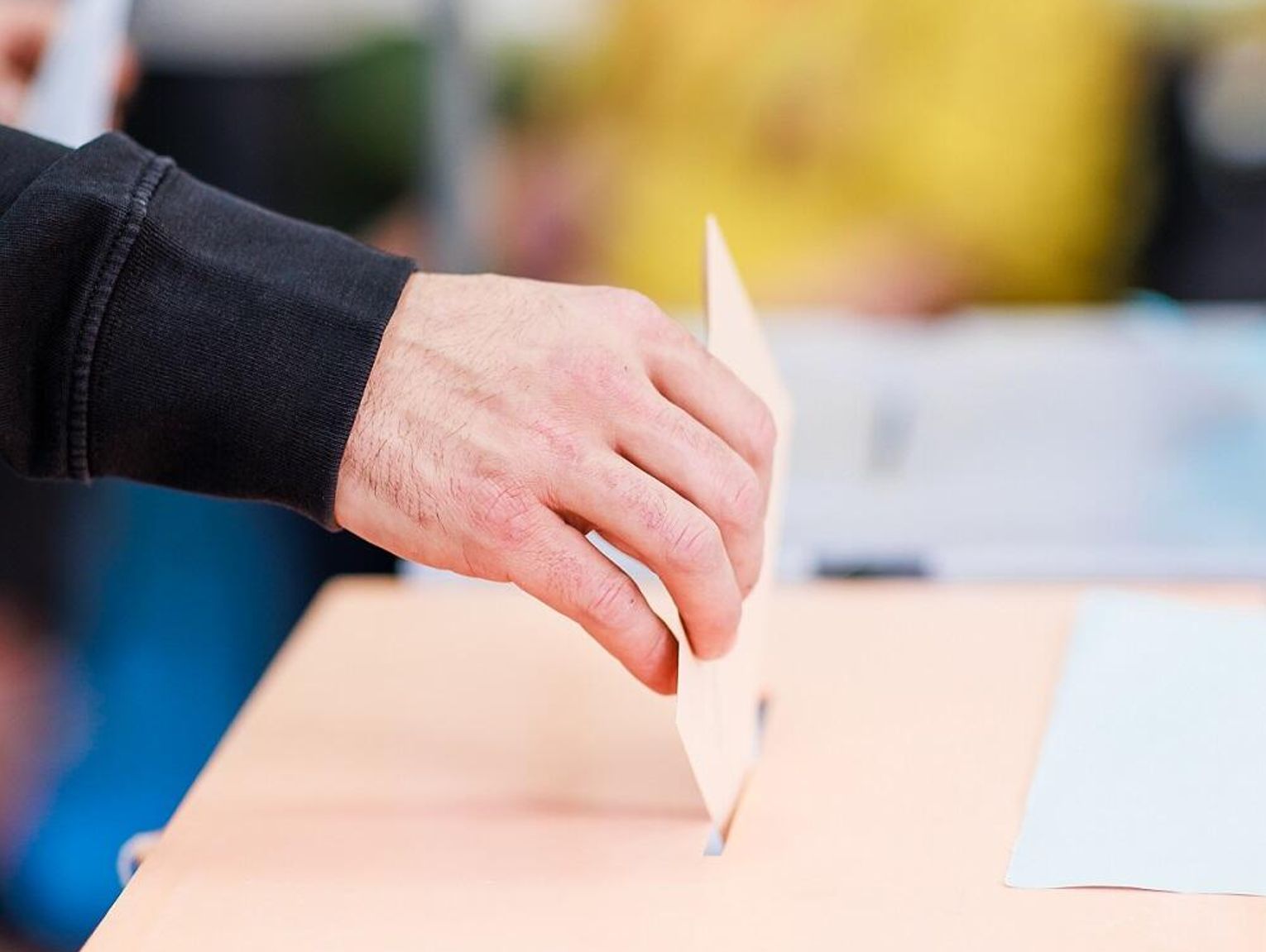 Wiadomości lokalne. Znana jest data przedterminowych wyborów w gminie Wojsławice. MSWiA zleciło wojewodom kontrolę warunków w schroniskach dla zwierząt.