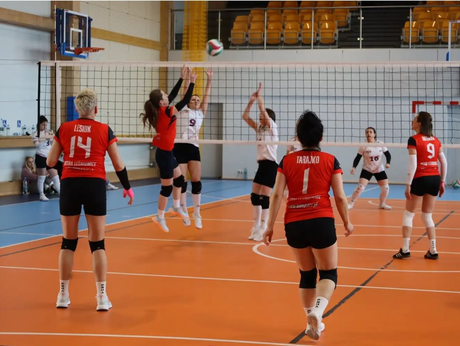 Wiadomości sportowe - 12 zespołów zagra w II Amatorskiej Lidze Siatkówki Kobiet