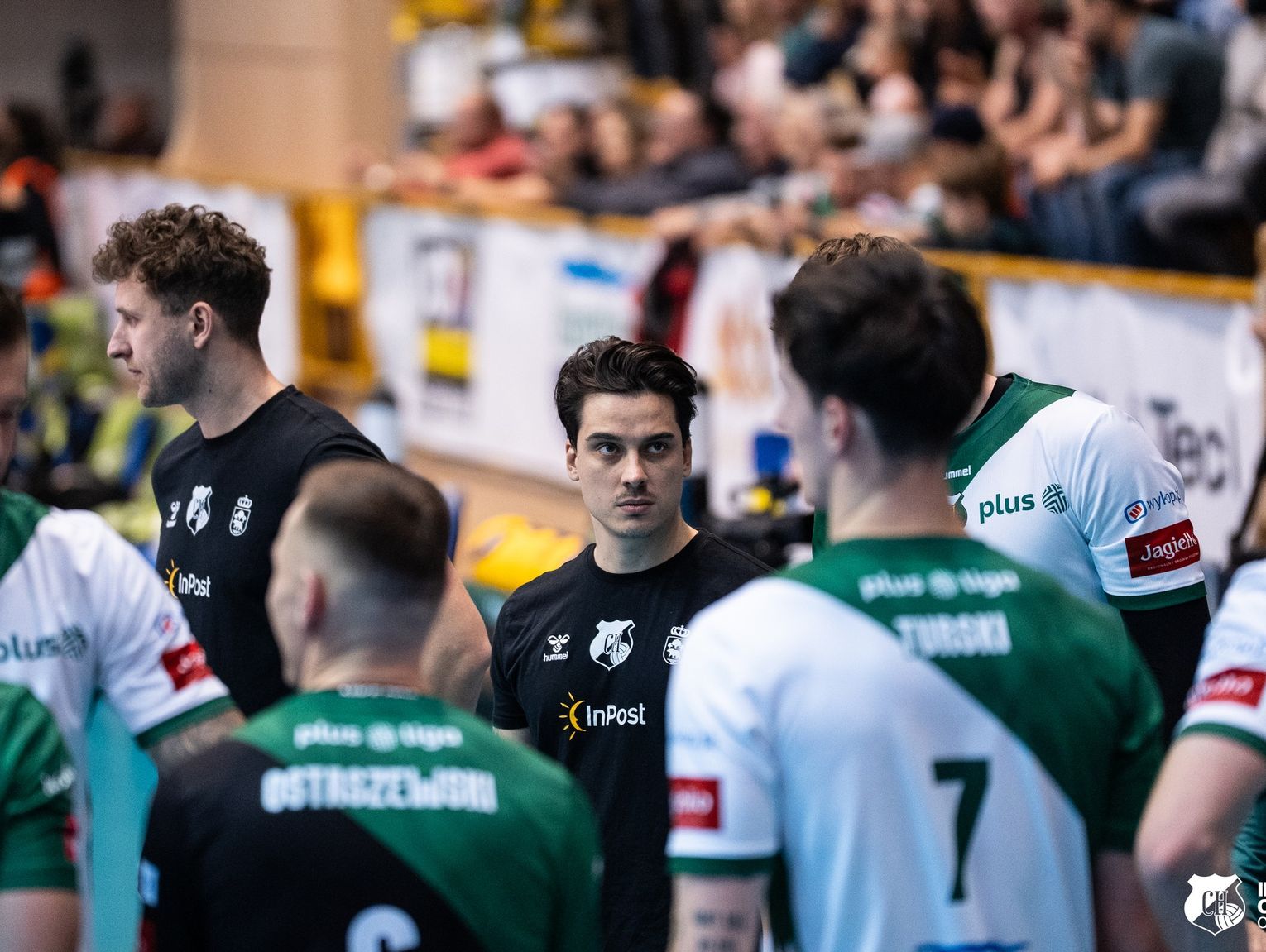 Wiadomości sportowe - chełmianin z medalem w sumo, InPost ChKS Chełm vs Ślepsk Suwałki