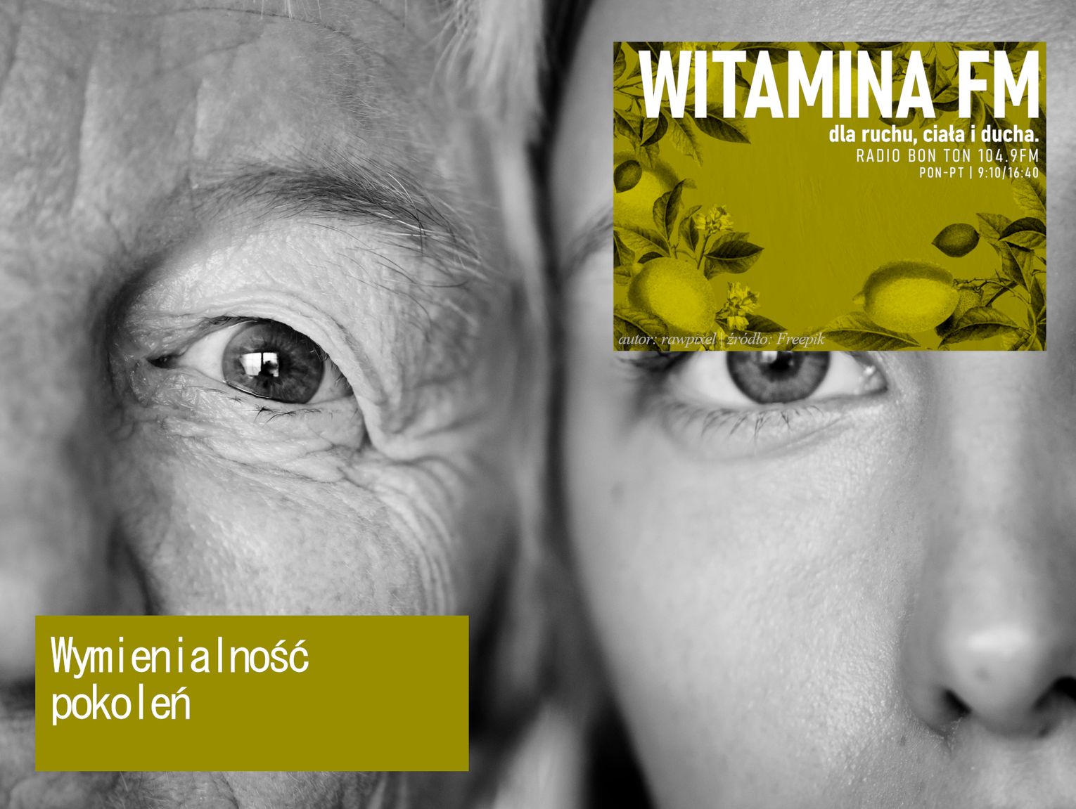Wymienialność pokoleń - Witamina FM