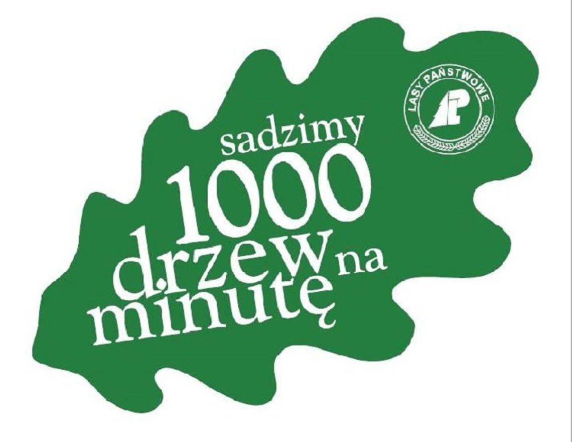 "1000 drzew na minutę" - Nadleśnictwo Chełm sadzi drzewa