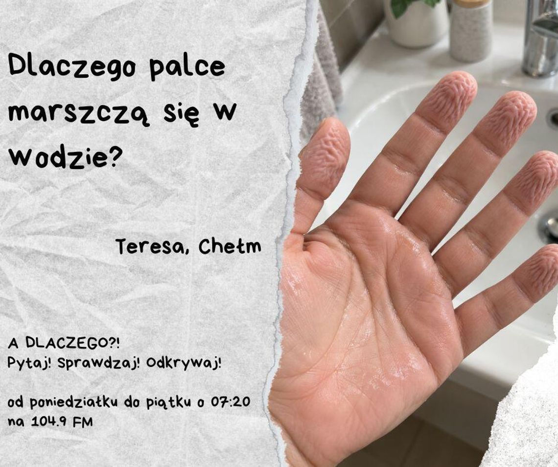 A DLACZEGO?!  Pytaj! Sprawdzaj! Odkrywaj! odc. 11.