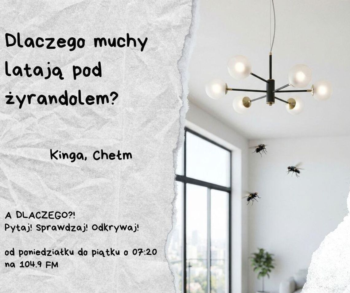 A DLACZEGO?!  Pytaj! Sprawdzaj! Odkrywaj! odc. 23.
