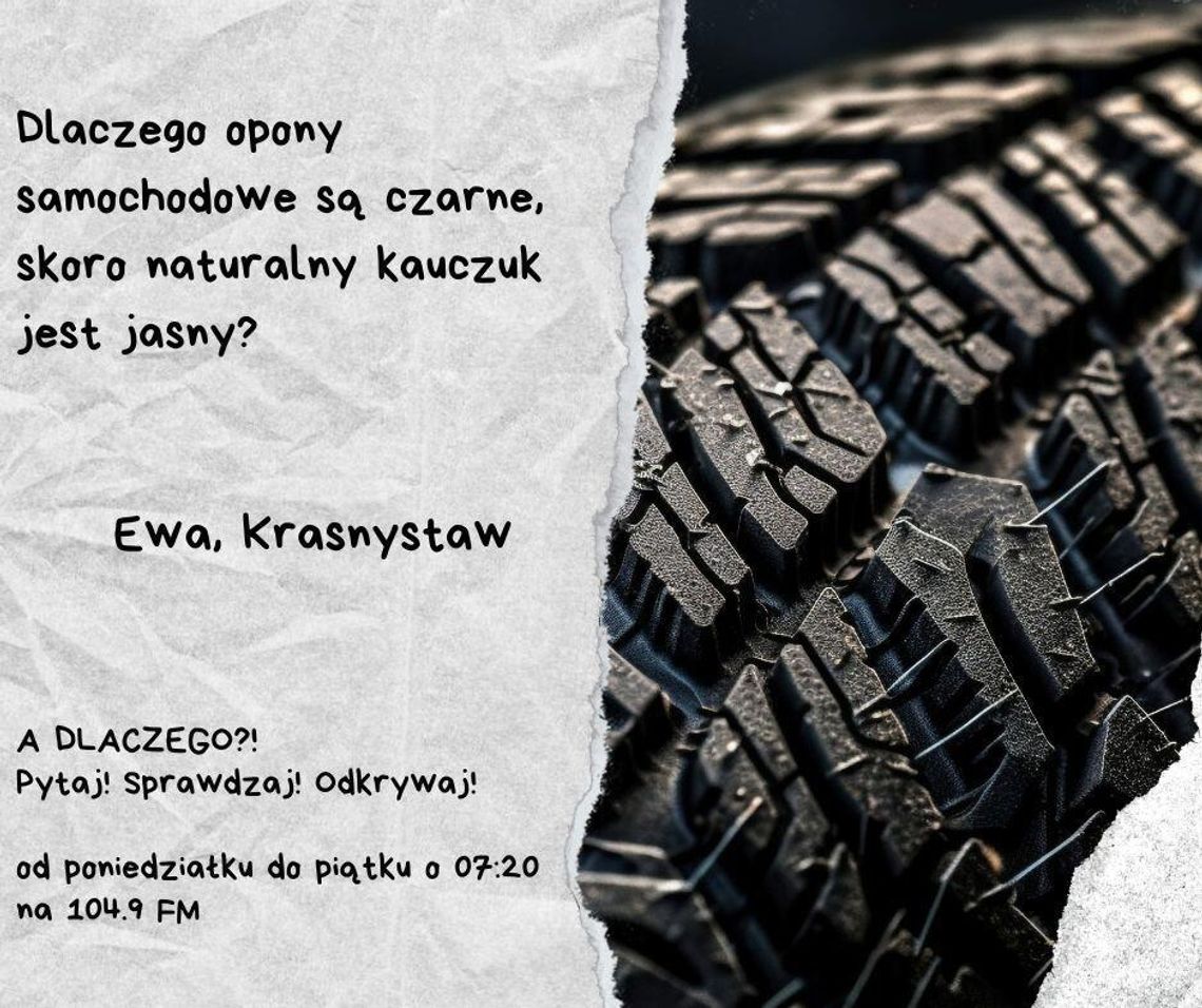 A DLACZEGO?! Pytaj! Sprawdzaj! Odkrywaj! odc. 25. A DLACZEGO?! Pytaj! Sprawdzaj! Odkrywaj! odc. 25.