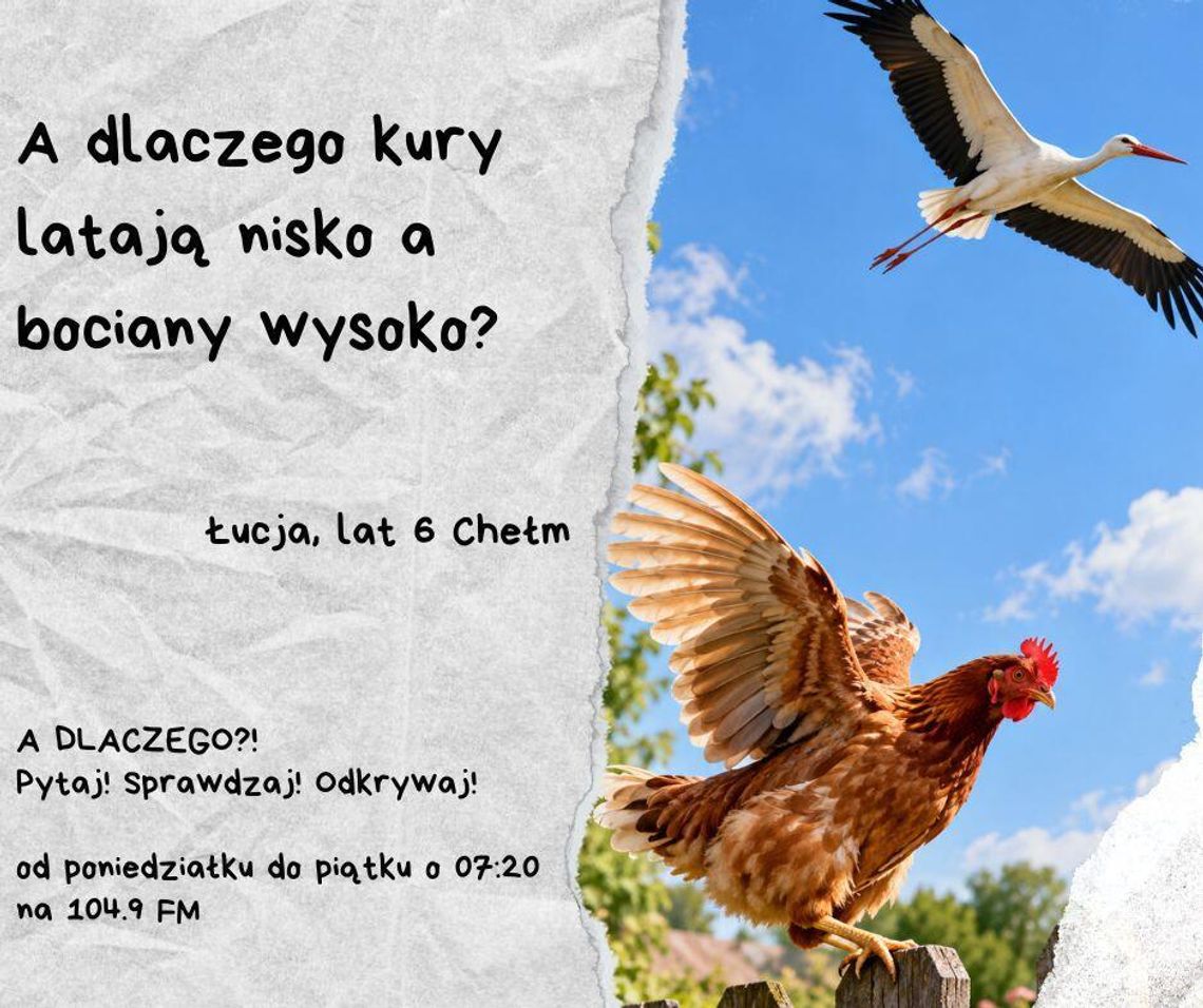 A DLACZEGO?! Pytaj! Sprawdzaj! Odkrywaj! odc. 27. A DLACZEGO?! Pytaj! Sprawdzaj! Odkrywaj! odc. 27.