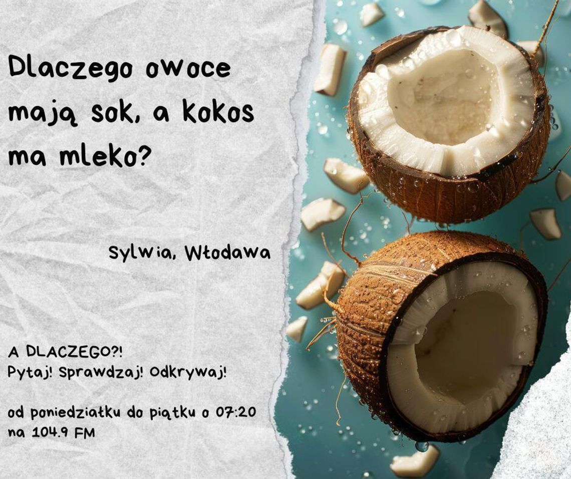A DLACZEGO?! Pytaj! Sprawdzaj! Odkrywaj! odc. 28. A DLACZEGO?! Pytaj! Sprawdzaj! Odkrywaj! odc. 28.