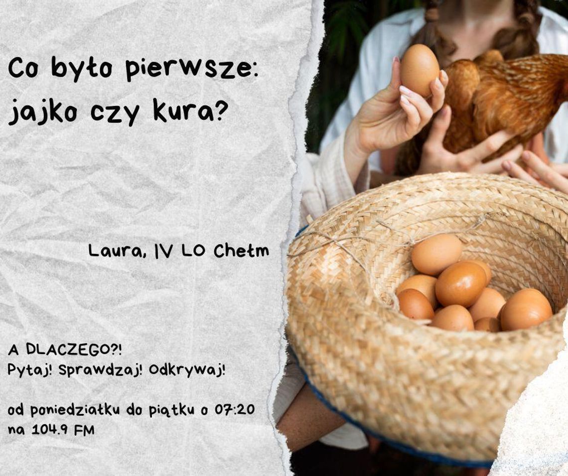 A DLACZEGO?! Pytaj! Sprawdzaj! Odkrywaj! odc. 29. A DLACZEGO?! Pytaj! Sprawdzaj! Odkrywaj! odc. 29.