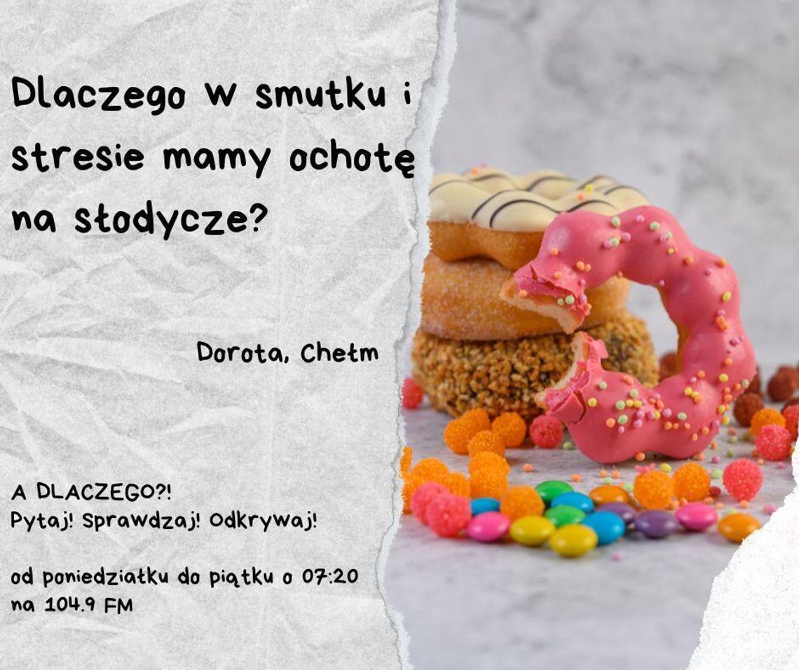 A DLACZEGO?! Pytaj! Sprawdzaj! Odkrywaj! odc. 30. A DLACZEGO?! Pytaj! Sprawdzaj! Odkrywaj! odc. 30.