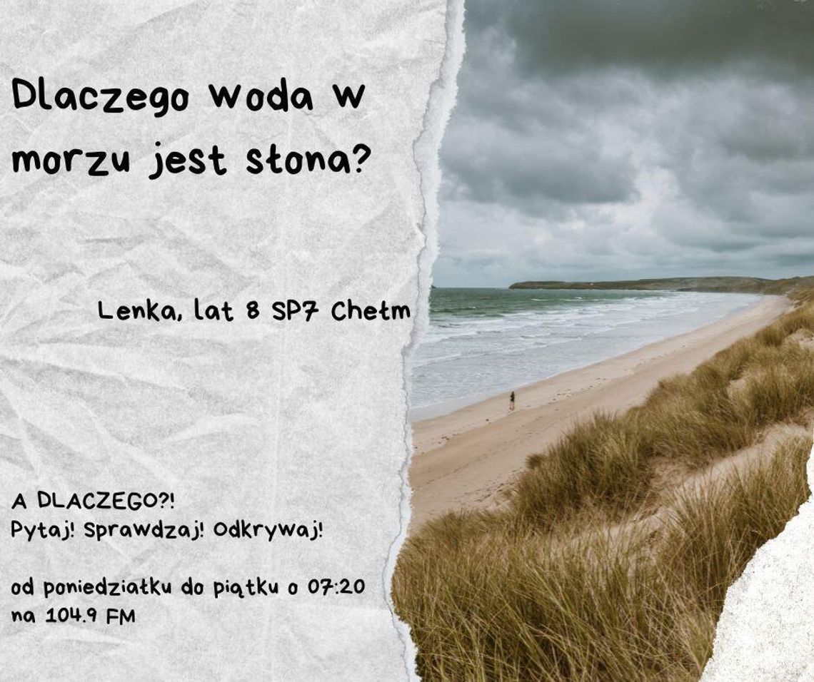 A DLACZEGO?! Pytaj! Sprawdzaj! Odkrywaj! odc. 31. A DLACZEGO?! Pytaj! Sprawdzaj! Odkrywaj! odc. 31.