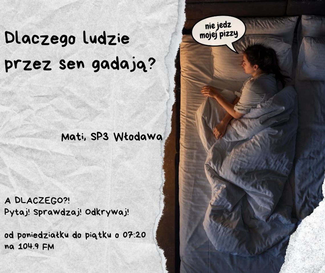 A DLACZEGO?!  Pytaj! Sprawdzaj! Odkrywaj! odc. 39.
