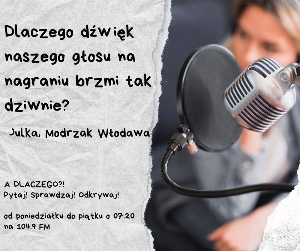 A DLACZEGO?!  Pytaj! Sprawdzaj! Odkrywaj! odc. 4.