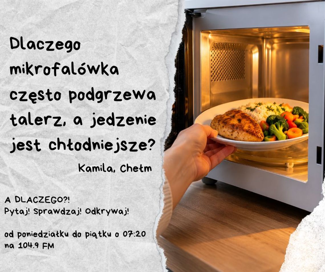 A DLACZEGO?! Pytaj! Sprawdzaj! Odkrywaj! odc. 41. A DLACZEGO?! Pytaj! Sprawdzaj! Odkrywaj! odc. 41.