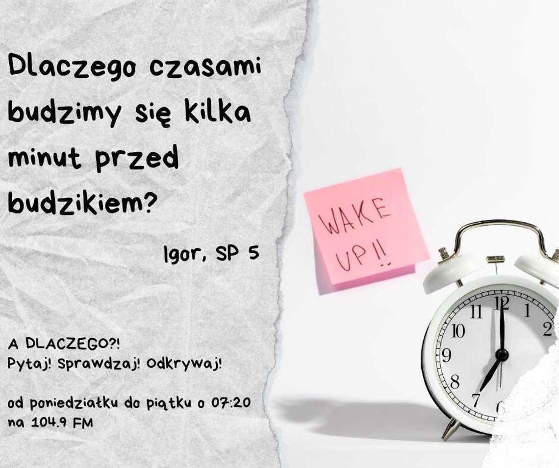 A DLACZEGO?!  Pytaj! Sprawdzaj! Odkrywaj! odc. 6.
