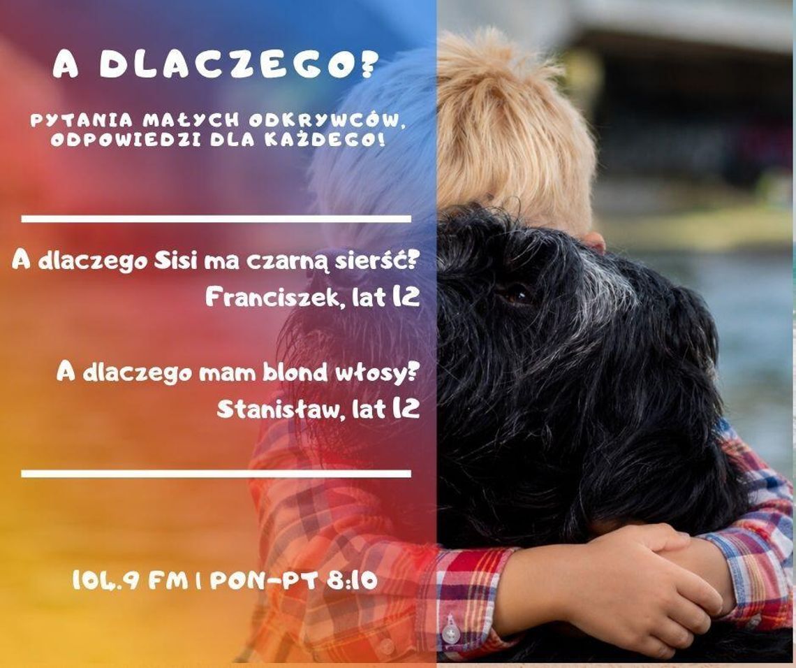 A dlaczego? Pytania małych odkrywców, odpowiedzi dla każdego!
