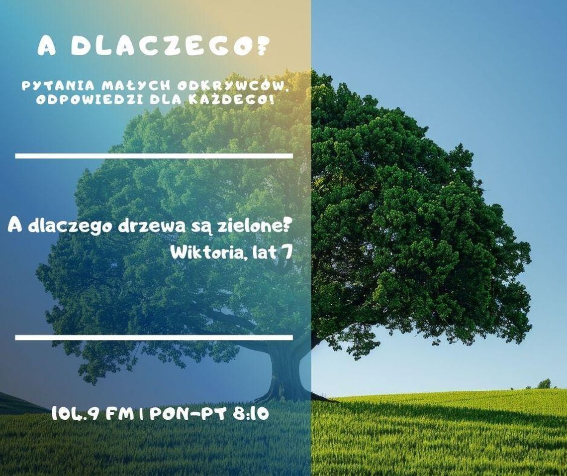 A dlaczego? Pytania małych odkrywców, odpowiedzi dla każdego!