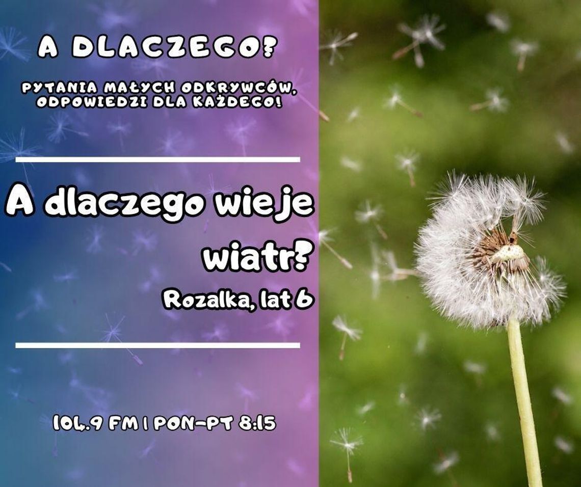 A dlaczego? Pytania małych odkrywców, odpowiedzi dla każdego! odc. 11.