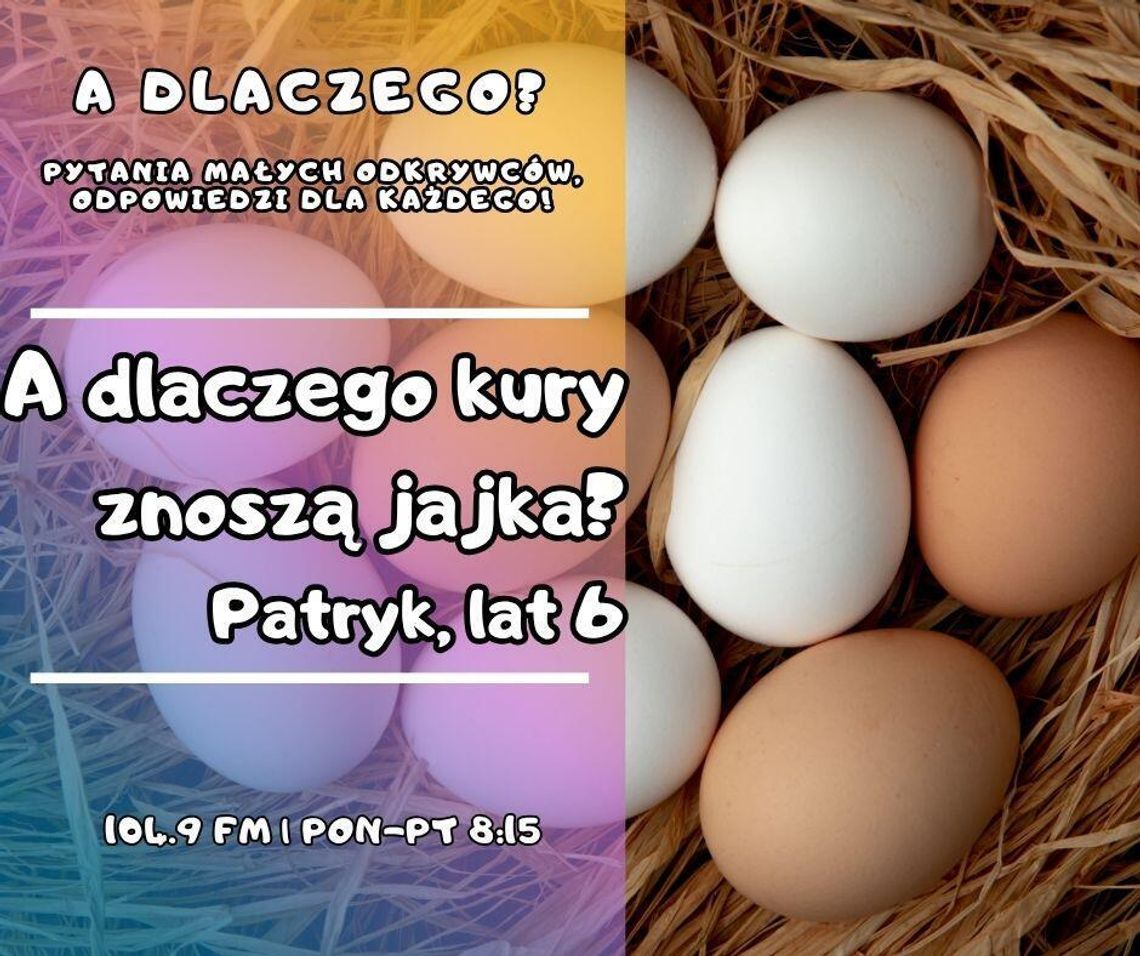 A dlaczego? Pytania małych odkrywców, odpowiedzi dla każdego! odc. 21.