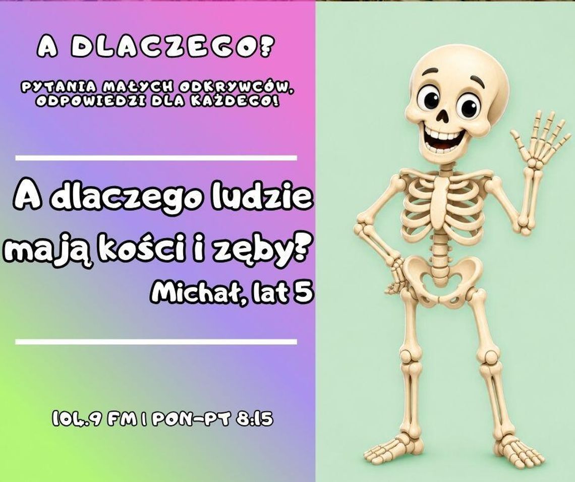 A dlaczego? Pytania małych odkrywców, odpowiedzi dla każdego! odc. 26