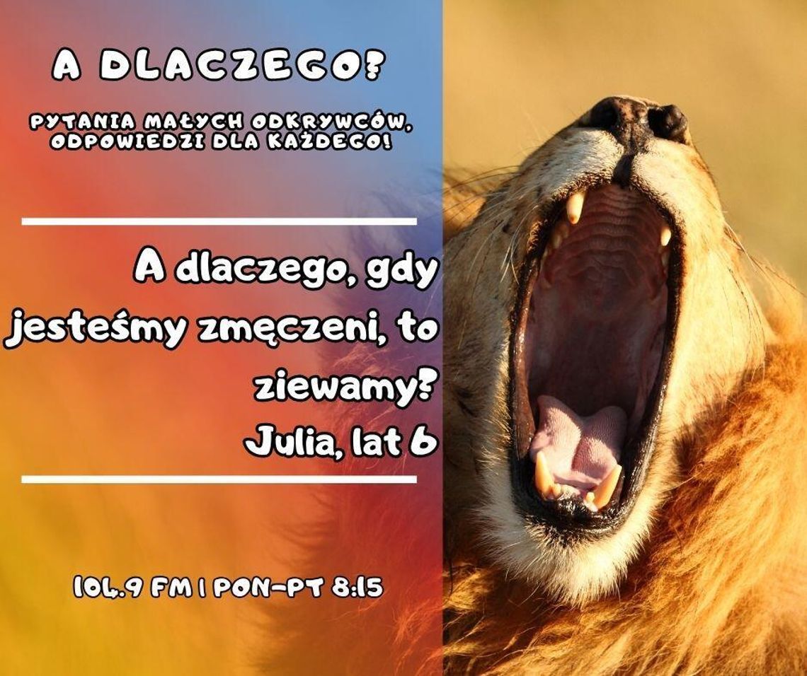 A dlaczego? Pytania małych odkrywców, odpowiedzi dla każdego! odc. 28.