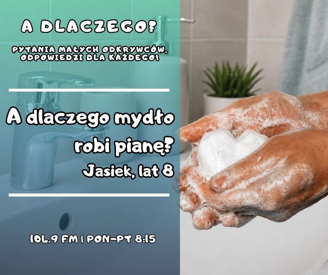 A dlaczego? Pytania małych odkrywców, odpowiedzi dla każdego! odc. 29.