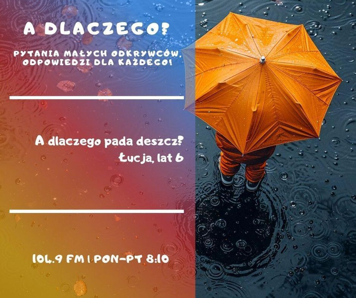 A dlaczego? Pytania małych odkrywców, odpowiedzi dla każdego! odc. 3.